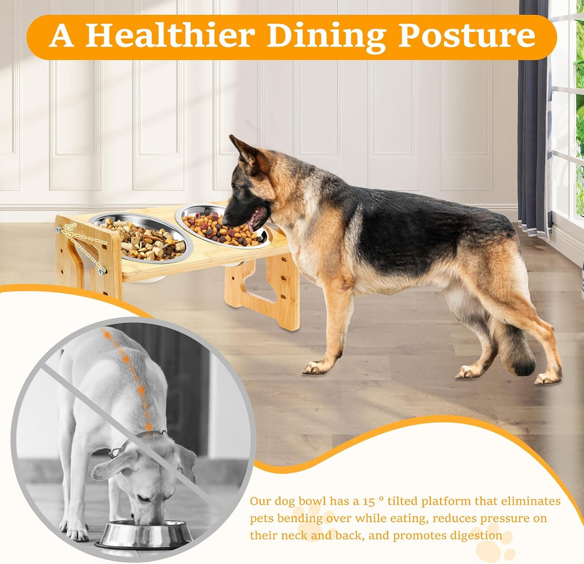 Elevated Dog Bowls, 5 Adjustable Heights Raised Dog Bowl Stand, Ranging from 2 Inches to 7.7 Inches, with 2 Stainless Steel Bowls and anti Slip Feet, for Small Medium Large Pets Dogs Cats
