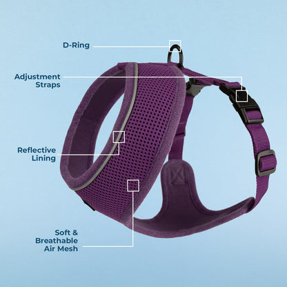 Aerolite No Pull Mesh Dog Harness with Lightweight, Soft, Breathable Chest Coverage, Reflective Stitching, and Adjustable Straps for Walking, Running, Training, Heavy Duty and Durable - Purple, M