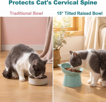 2 PCS High-Foot anti Vomiting Tilted Bowl, Tilted Elevated Cat Bowl, Slanted Feeding Bowls, 15° Tilted Raised Cat Bowls for Cats, Dogs (Pink + Green)