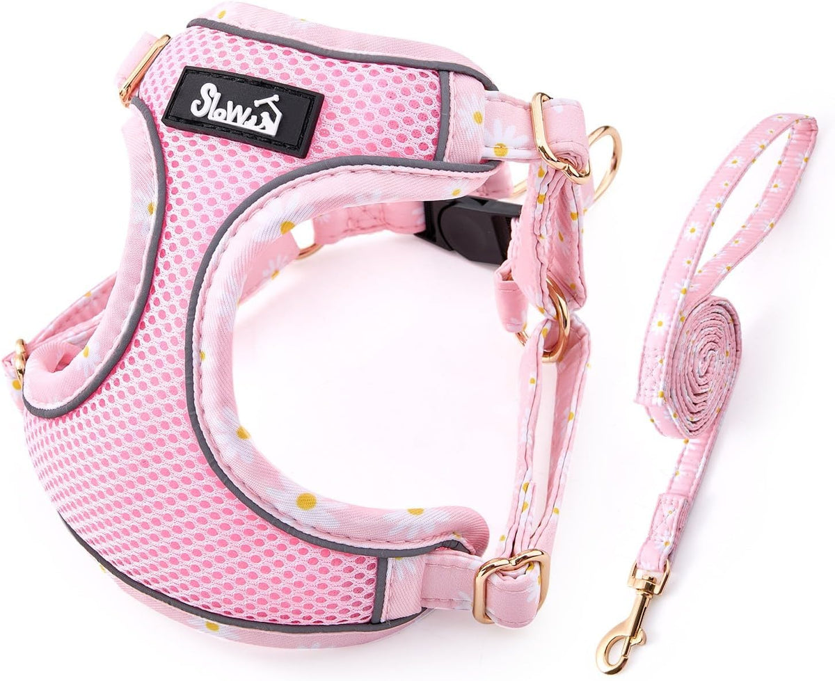 Puppy Harness and Leash Set - No Pull Adjustable Breathable Dog Harness, Dog Leash for Puppy, Reflective Pet Harness for Small Medium Dogs Outdoor Walking Training