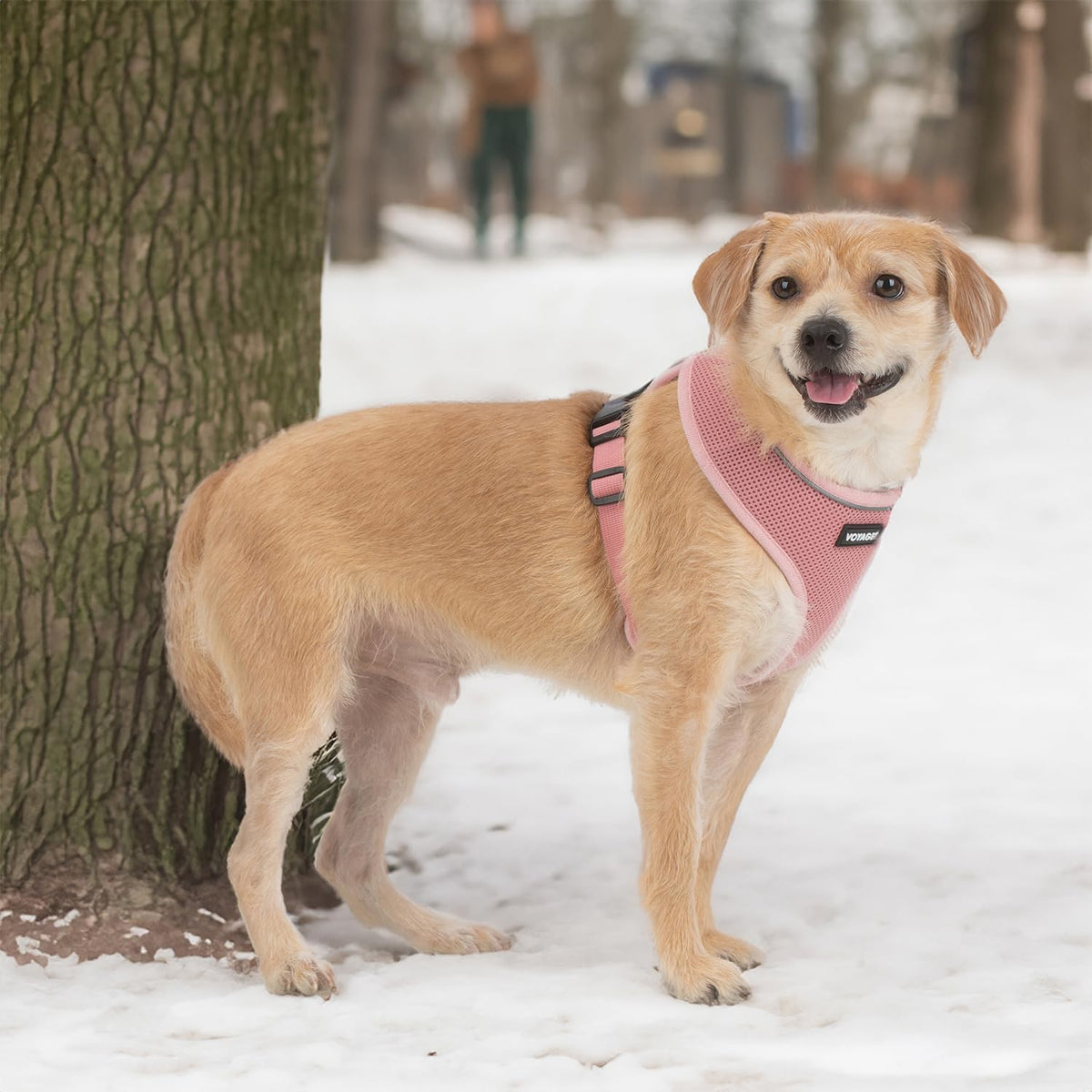 Aerolite No Pull Mesh Dog Harness with Lightweight, Soft, Breathable Chest Coverage, Reflective Stitching, and Adjustable Straps for Walking, Running, Training, Heavy Duty and Durable - Pink, L