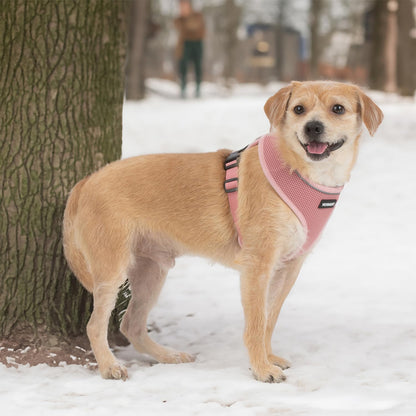 Aerolite No Pull Mesh Dog Harness with Lightweight, Soft, Breathable Chest Coverage, Reflective Stitching, and Adjustable Straps for Walking, Running, Training, Heavy Duty and Durable - Pink, L
