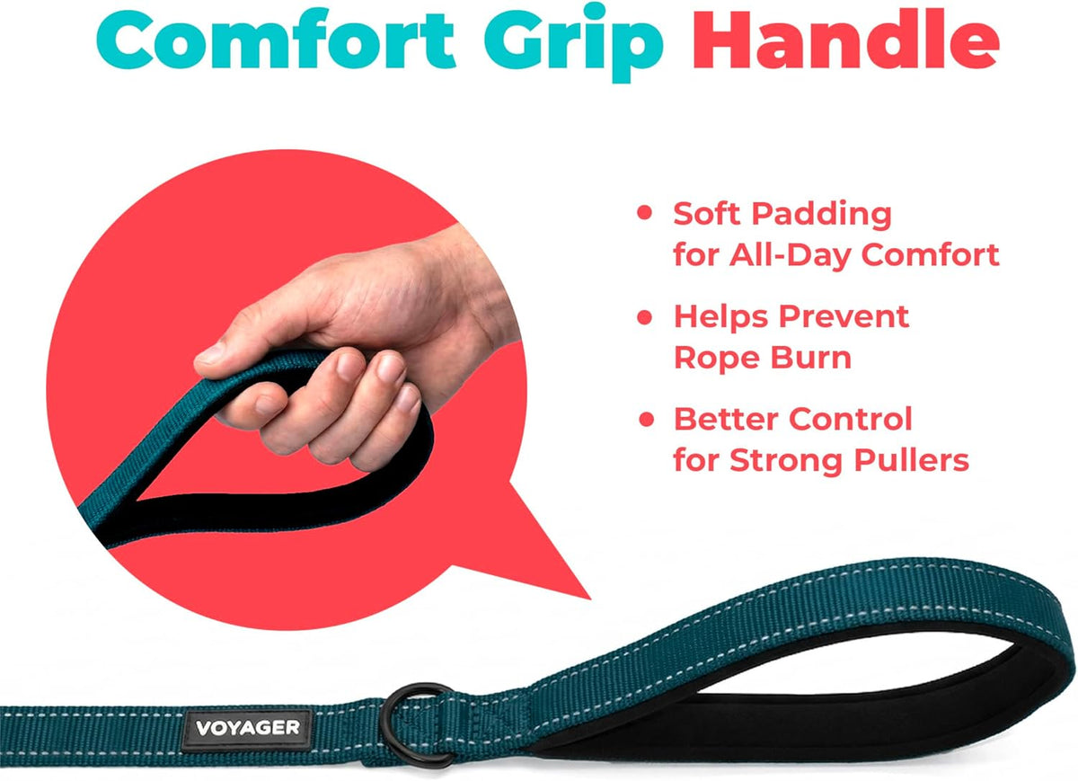 Voyager Reflective Dog Leash with Neoprene Handle, 5Ft Long, Supports Small, Medium, and Large Breed Puppies, Cute and Heavy Duty for Walking, Running, and Training - Blue (Leash), L
