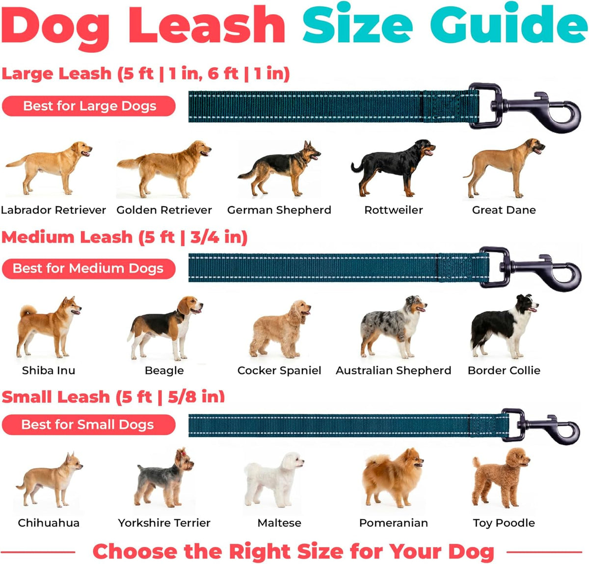 Voyager Reflective Dog Leash with Neoprene Handle, 5Ft Long, Supports Small, Medium, and Large Breed Puppies, Cute and Heavy Duty for Walking, Running, and Training - Blue (Leash), L