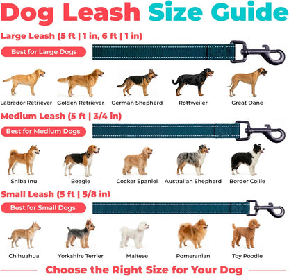 Voyager Reflective Dog Leash with Neoprene Handle, 5Ft Long, Supports Small, Medium, and Large Breed Puppies, Cute and Heavy Duty for Walking, Running, and Training - Blue (Leash), L