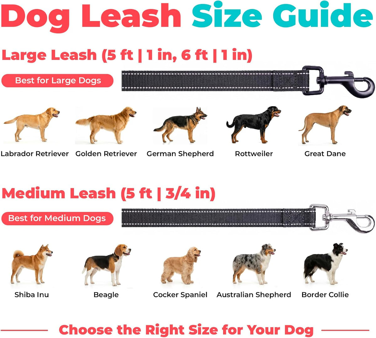 Voyager Reflective Dog Leash with Neoprene Handle, 6Ft Long, Supports Small, Medium, and Large Breed Puppies, Cute and Heavy Duty for Walking, Running, and Training - Black, L