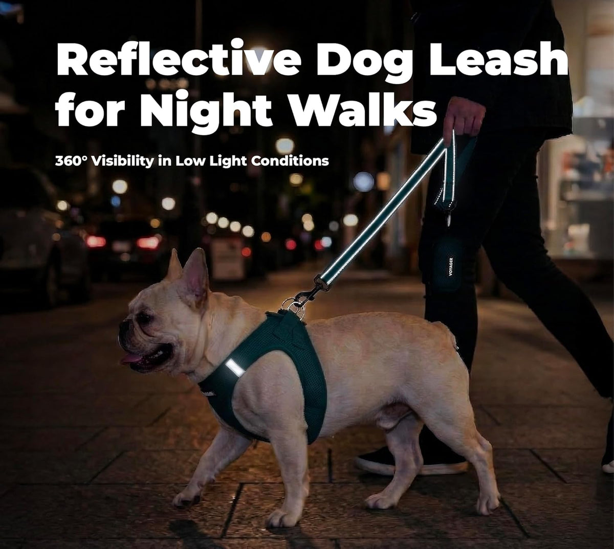 Voyager Reflective Dog Leash with Neoprene Handle, 5Ft Long, Supports Small, Medium, and Large Breed Puppies, Cute and Heavy Duty for Walking, Running, and Training - Blue (Leash), L