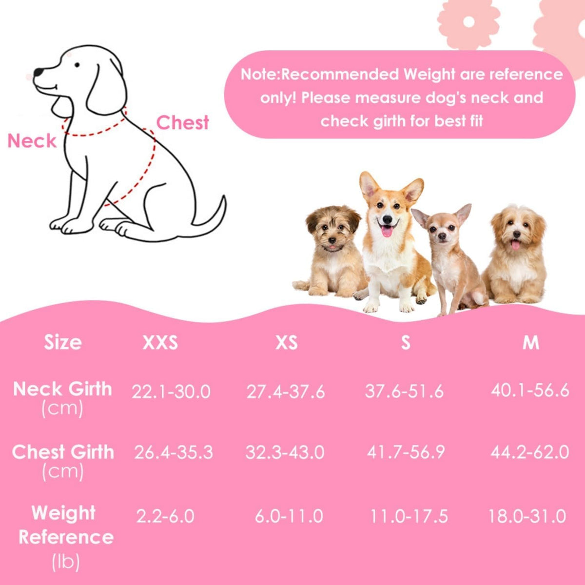 Puppy Harness and Leash Set - No Pull Adjustable Breathable Dog Harness, Dog Leash for Puppy, Reflective Pet Harness for Small Medium Dogs Outdoor Walking Training