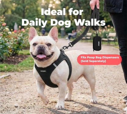Voyager Reflective Dog Leash with Neoprene Handle, 6Ft Long, Supports Small, Medium, and Large Breed Puppies, Cute and Heavy Duty for Walking, Running, and Training - Black, L