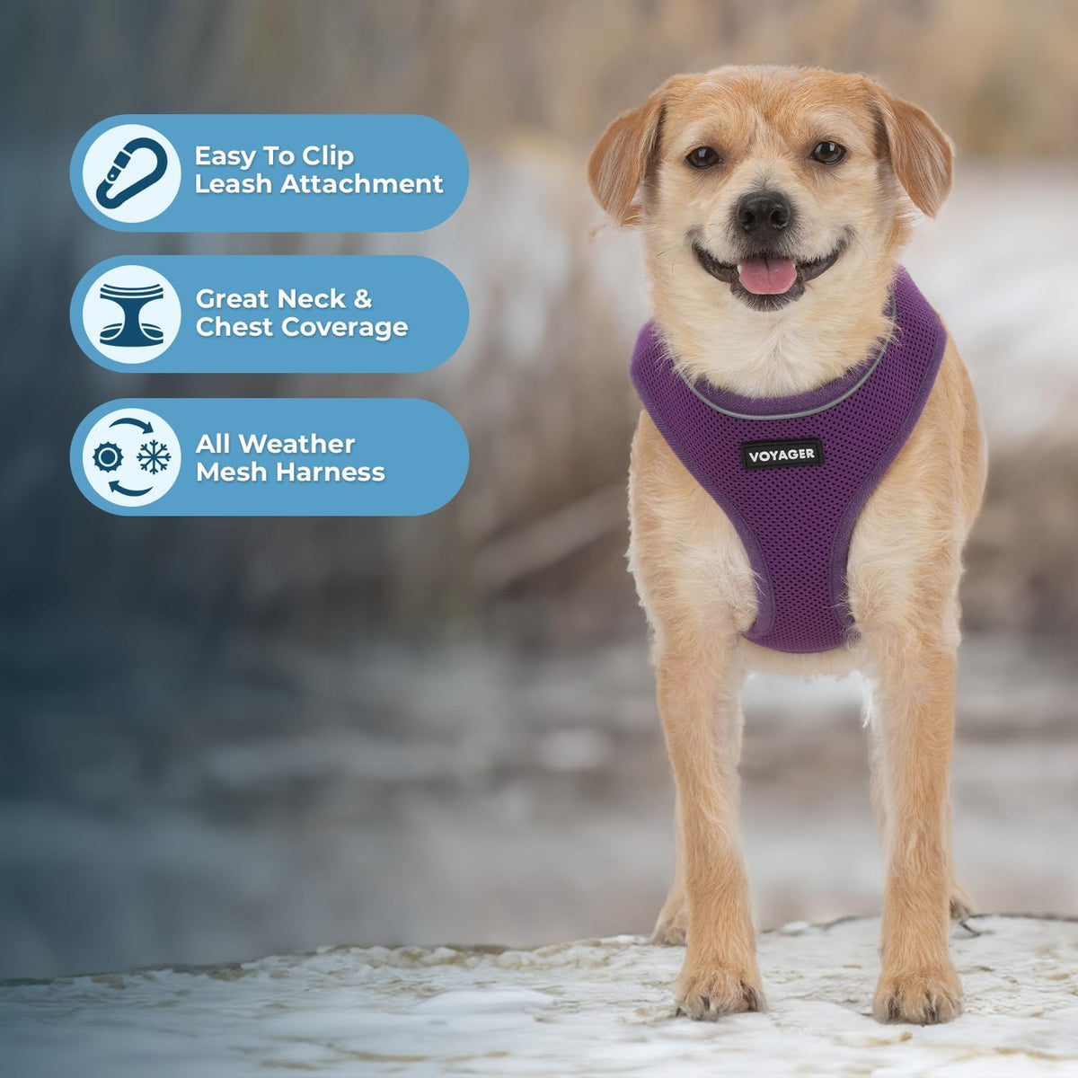 Aerolite No Pull Mesh Dog Harness with Lightweight, Soft, Breathable Chest Coverage, Reflective Stitching, and Adjustable Straps for Walking, Running, Training, Heavy Duty and Durable - Purple, M