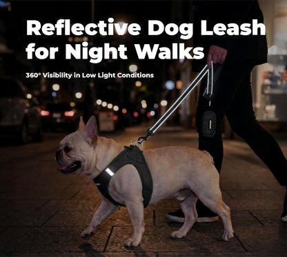 Voyager Reflective Dog Leash with Neoprene Handle, 6Ft Long, Supports Small, Medium, and Large Breed Puppies, Cute and Heavy Duty for Walking, Running, and Training - Black, L
