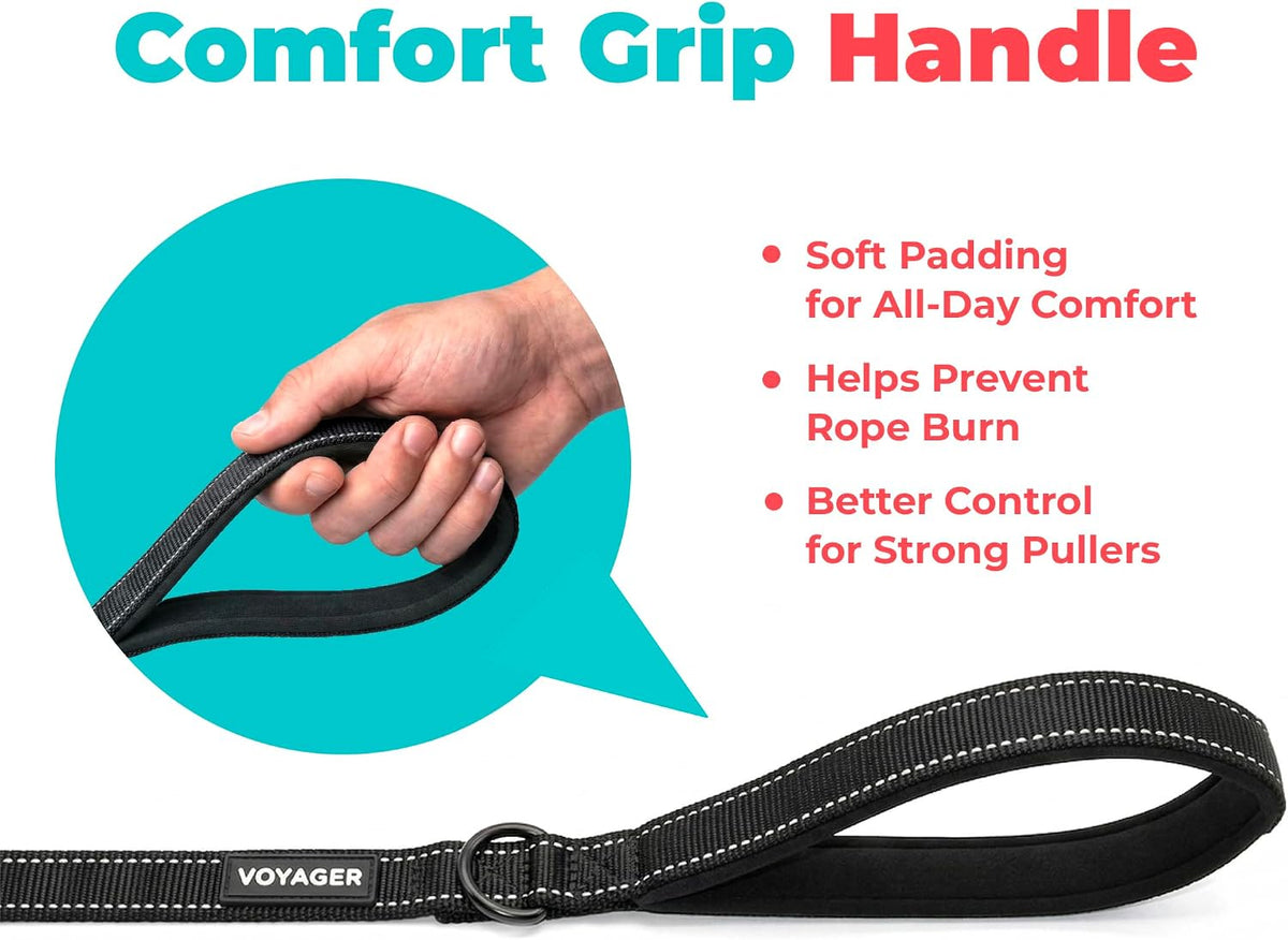 Voyager Reflective Dog Leash with Neoprene Handle, 6Ft Long, Supports Small, Medium, and Large Breed Puppies, Cute and Heavy Duty for Walking, Running, and Training - Black, L