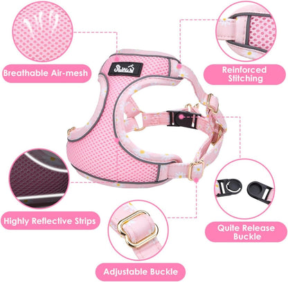 Puppy Harness and Leash Set - No Pull Adjustable Breathable Dog Harness, Dog Leash for Puppy, Reflective Pet Harness for Small Medium Dogs Outdoor Walking Training