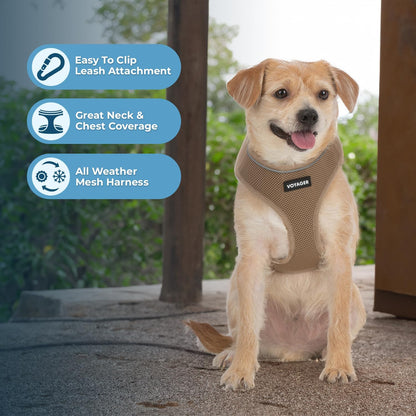 Aerolite No Pull Mesh Dog Harness with Lightweight, Soft, Breathable Chest Coverage, Reflective Stitching, and Adjustable Straps for Walking, Running, Training, Heavy Duty and Durable - Beige, L