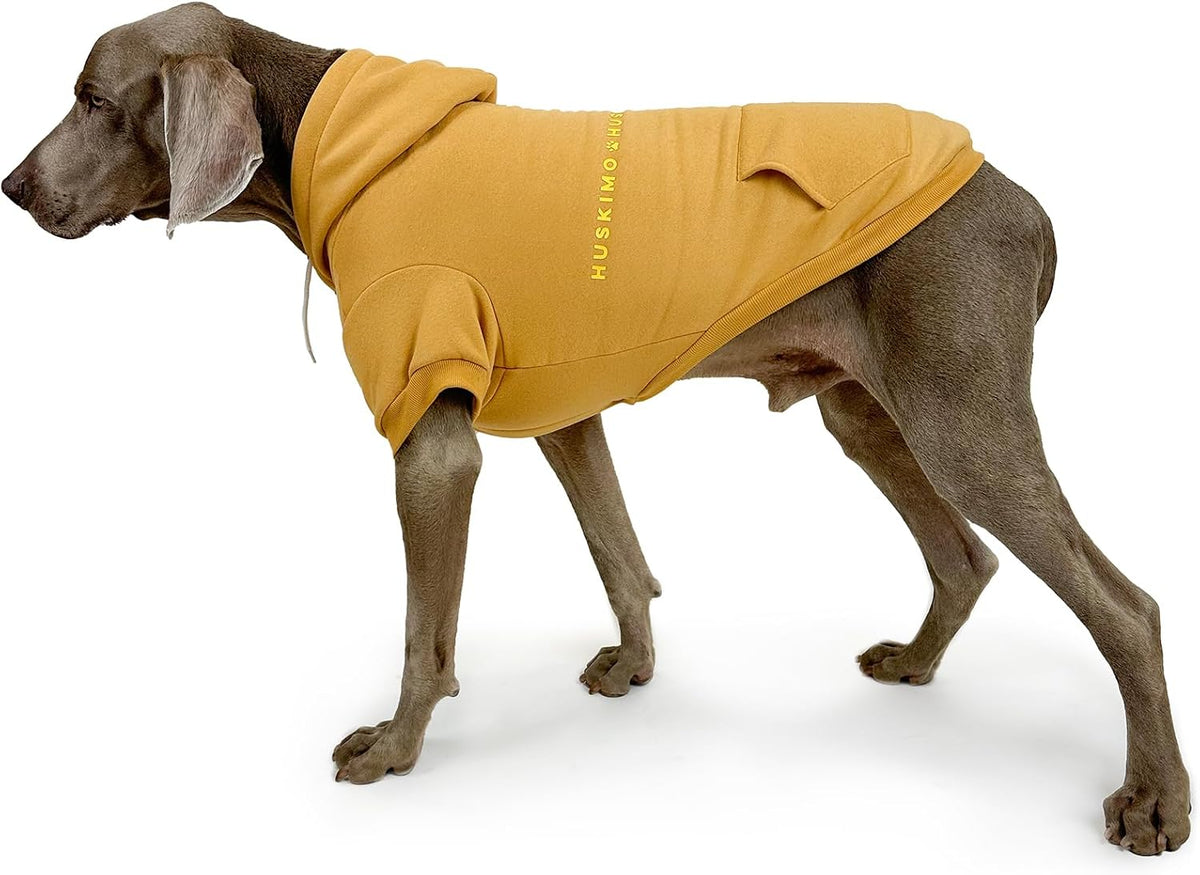 Mt Baw Baw Dog Hoodie, Mustard, 27Cm