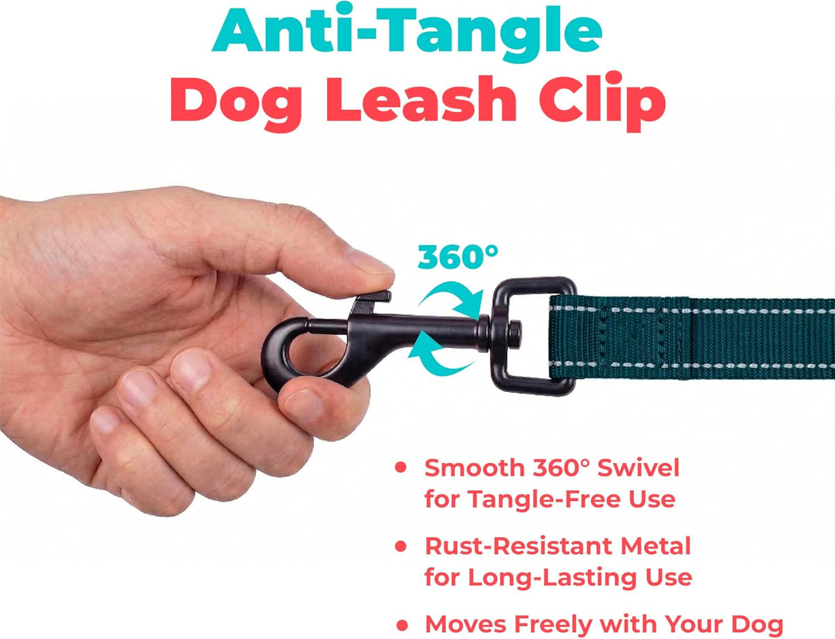 Voyager Reflective Dog Leash with Neoprene Handle, 5Ft Long, Supports Small, Medium, and Large Breed Puppies, Cute and Heavy Duty for Walking, Running, and Training - Blue (Leash), L