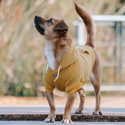 Mt Baw Baw Dog Hoodie, Mustard, 27Cm