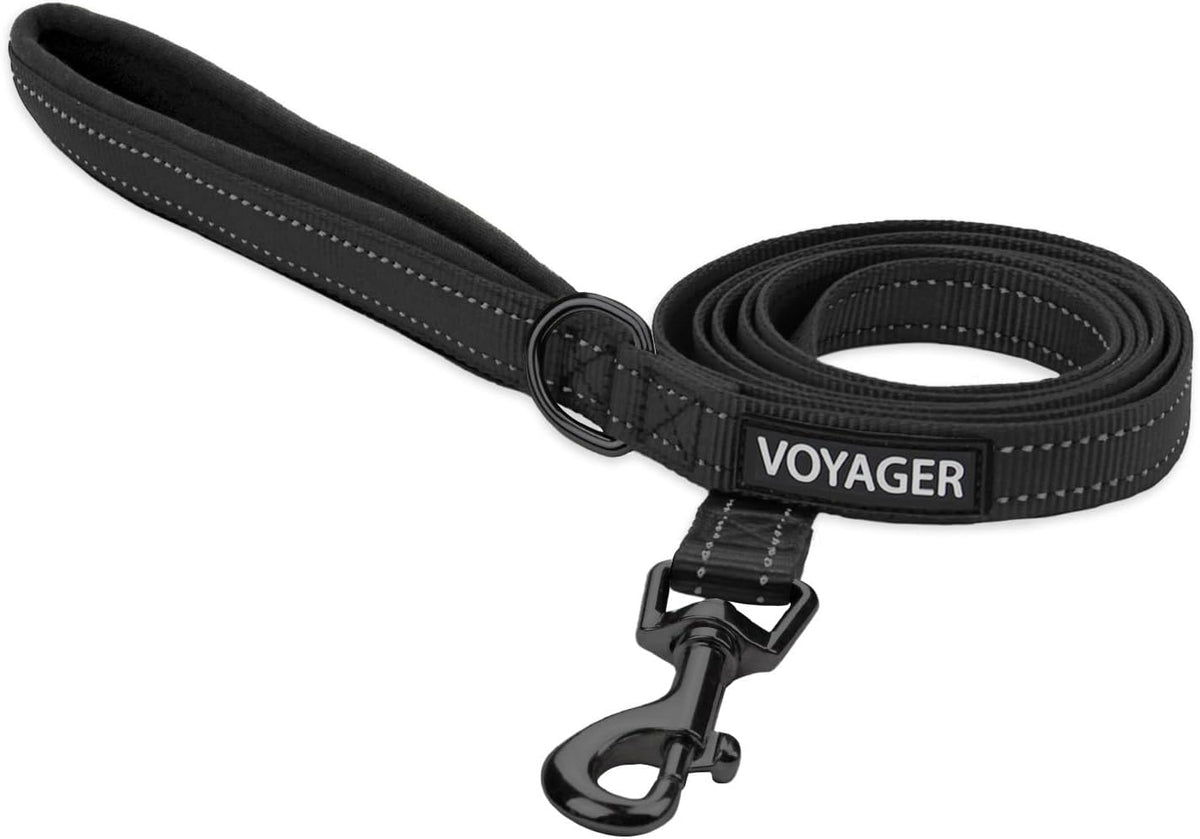 Voyager Reflective Dog Leash with Neoprene Handle, 6Ft Long, Supports Small, Medium, and Large Breed Puppies, Cute and Heavy Duty for Walking, Running, and Training - Black, L