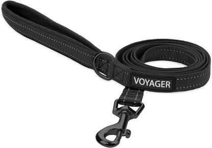 Voyager Reflective Dog Leash with Neoprene Handle, 6Ft Long, Supports Small, Medium, and Large Breed Puppies, Cute and Heavy Duty for Walking, Running, and Training - Black, L