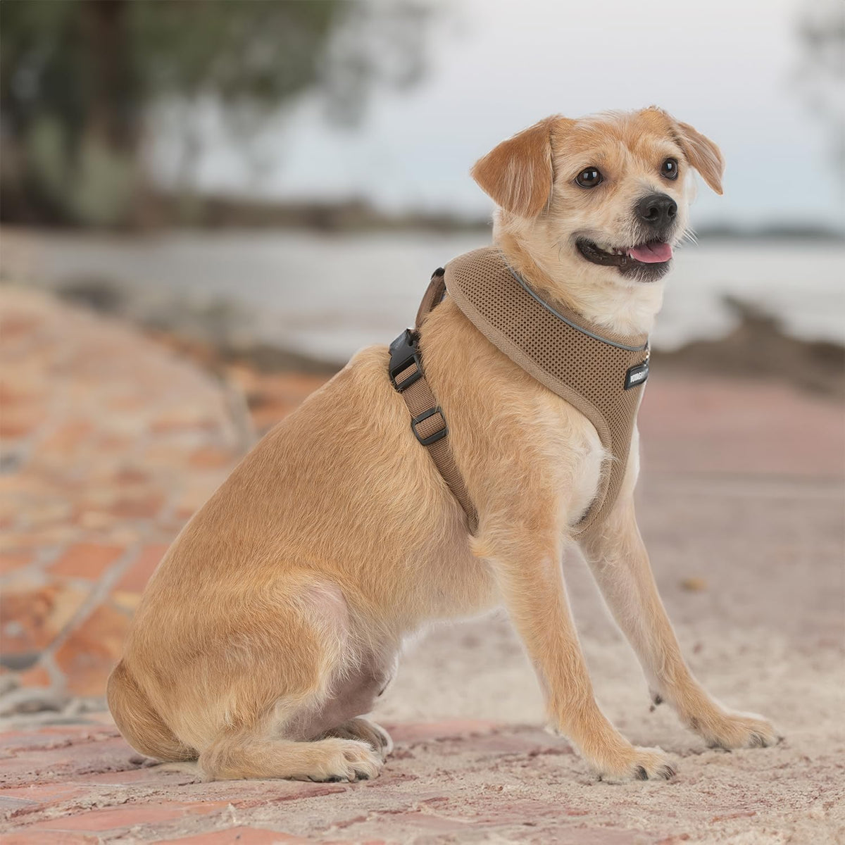 Aerolite No Pull Mesh Dog Harness with Lightweight, Soft, Breathable Chest Coverage, Reflective Stitching, and Adjustable Straps for Walking, Running, Training, Heavy Duty and Durable - Beige, L