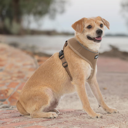 Aerolite No Pull Mesh Dog Harness with Lightweight, Soft, Breathable Chest Coverage, Reflective Stitching, and Adjustable Straps for Walking, Running, Training, Heavy Duty and Durable - Beige, L