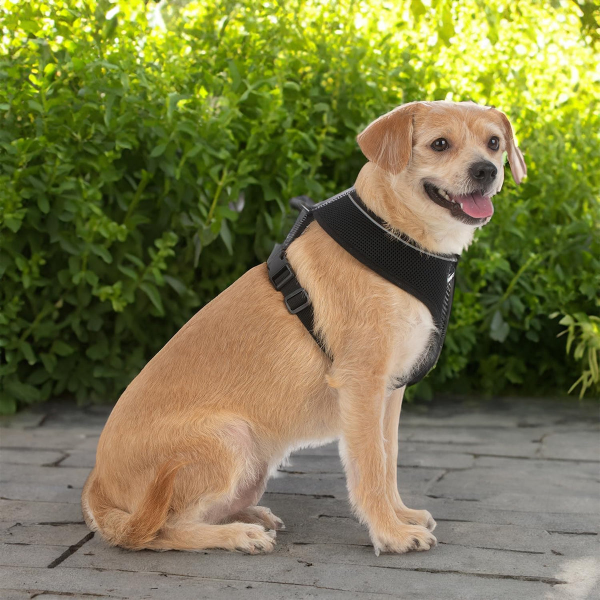 Aerolite No Pull Mesh Dog Harness with Lightweight, Soft, Breathable Chest Coverage, Reflective Stitching, and Adjustable Straps for Walking, Running, Training, Heavy Duty and Durable - Black, XL