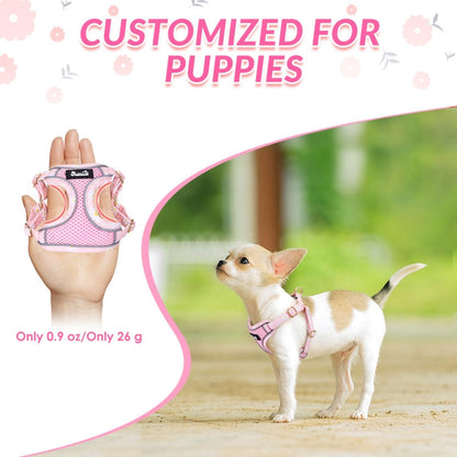 Puppy Harness and Leash Set - No Pull Adjustable Breathable Dog Harness, Dog Leash for Puppy, Reflective Pet Harness for Small Medium Dogs Outdoor Walking Training