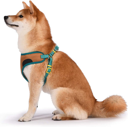 Scooby-Doo Warner Brothers Dog Harness | Soft and Comfortable Medium Dog Harness | Scooby Doo Dog Harness No Pull Tan and Blue Dog Harness | Cute Dog Harnesses for Medium Dogs