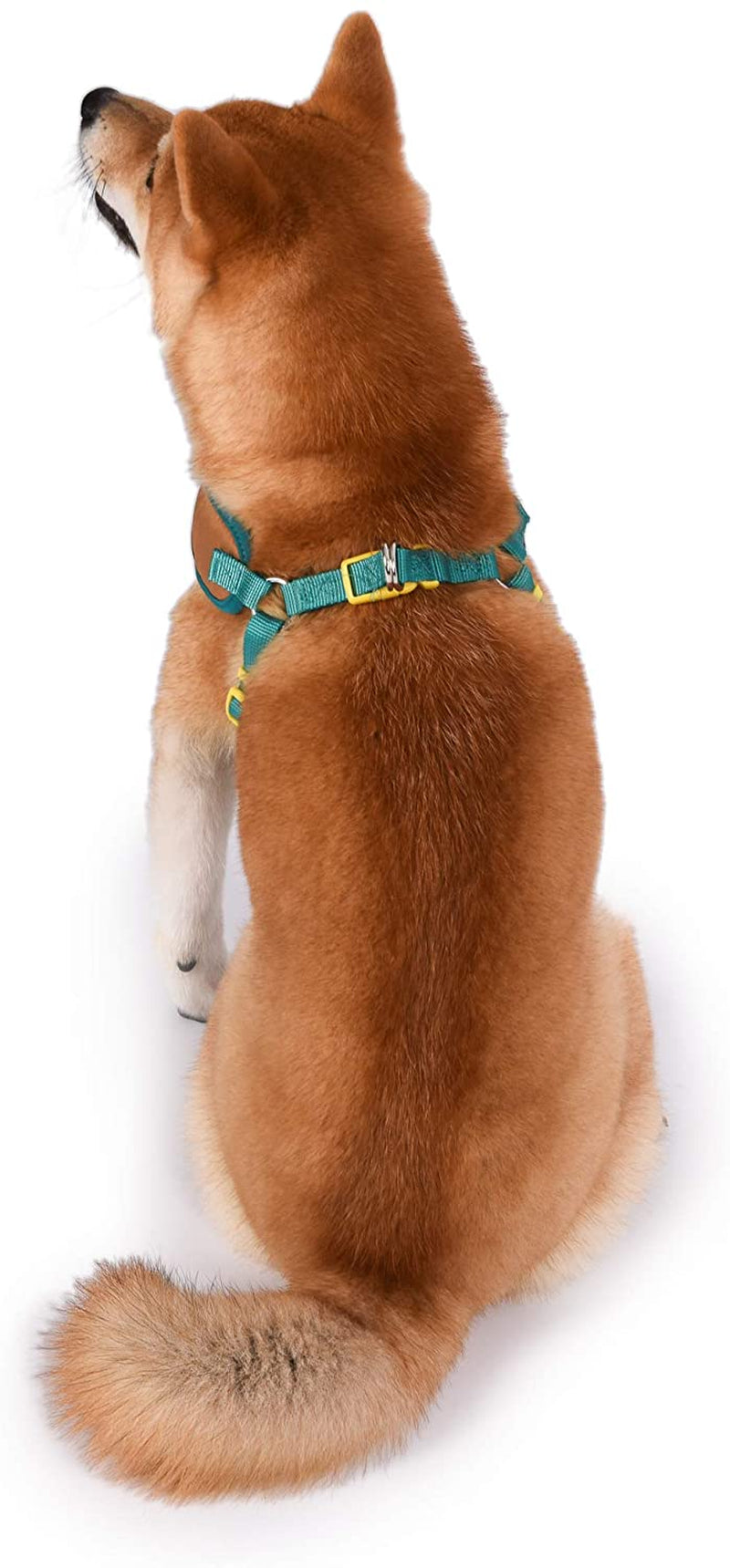 Scooby-Doo Warner Brothers Dog Harness | Soft and Comfortable Medium Dog Harness | Scooby Doo Dog Harness No Pull Tan and Blue Dog Harness | Cute Dog Harnesses for Medium Dogs